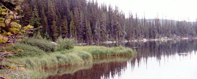 Inlet Of Glacier Water