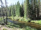 The Creek Below the Reservoir