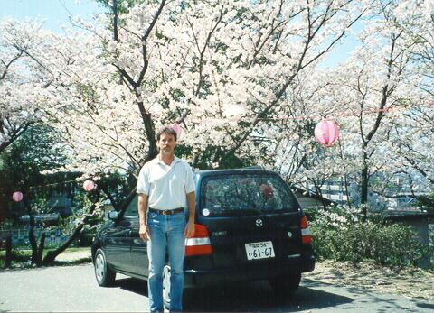 A Cherry Blossom Tree